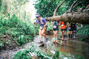 BIB: 
                            <button type="button" onclick="openModal(25517530)" class="btn btn-primary btn-sm float-right btn-popup" data-toggle="modal" data-target=".modal-high-quality">
                        <i class="fas fa-shopping-cart"></i> Add to Cart
                    </button>
                                            <button type="button" onclick="isThisMe(25517530, true)" class="btn btn-success btn-sm float-right btn-popup btn-isme hidden" data-toggle="tooltip" data-placement="bottom" title="นี่คือรูปของคุณใช่ไหม คลิกที่นี่เพื่อเอาเข้าอัลบั้ม">
                        <i class="fas fa-plus"></i> Add to album
                    </button>
                    <button type="button" onclick="isThisMe(25517530, false)" class="btn btn-warning btn-sm float-right btn-popup btn-isnotme hidden">
                        <i class="fas fa-ban"></i> Remove from album
                    </button>